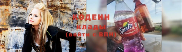 гашик Алексин
