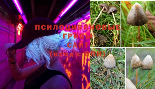 стаф Алексеевка