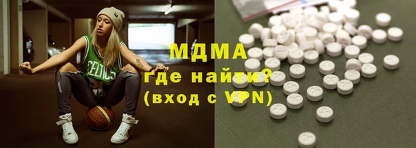 гашик Алексин