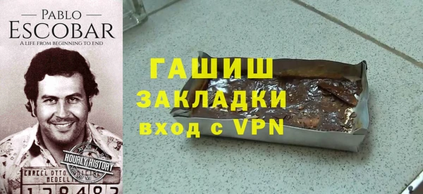 гашик Алексин