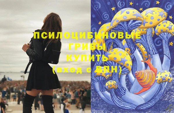 стаф Алексеевка