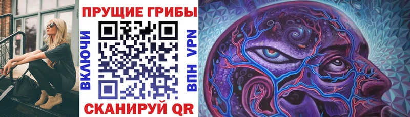 Псилоцибиновые грибы мицелий  мега зеркало  Кинель 